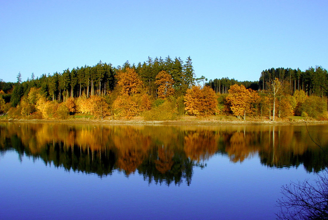 Bild für die Gastgeber der Region Schwäbischer Wald